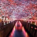 Ontdek de magie van een reis Japan: Een avontuur tussen traditie en innovatie